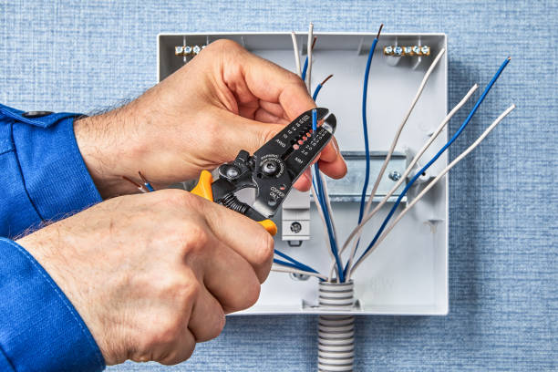 Best Industrial Electrical Services  in Paloma Creek South, TX